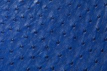 Ostrich Skin Matte Mod Blue