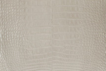 Alligator Skin Belly Glazed Beige 30/34 cm Grade 5