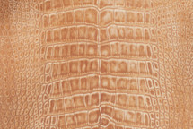 Alligator Skin Belly Suede Caramel 30/34 cm Grade 3