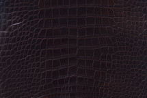 Nile Crocodile Skin Belly Glazed Hazelnut 30/34 cm Grade 4