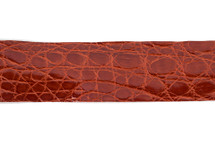 Belt Strip Crocodile Flank Glazed Orange