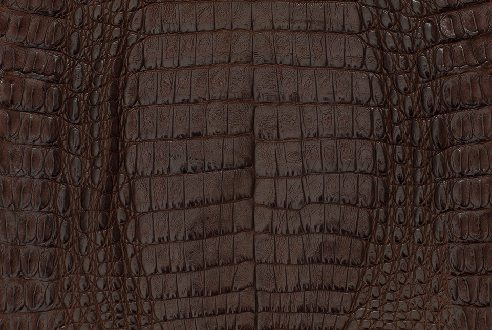 CAIMAN CROCODILE BELLY MATTE BROWN FULL SKIN