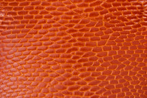 Beaver Tail Glazed Orange