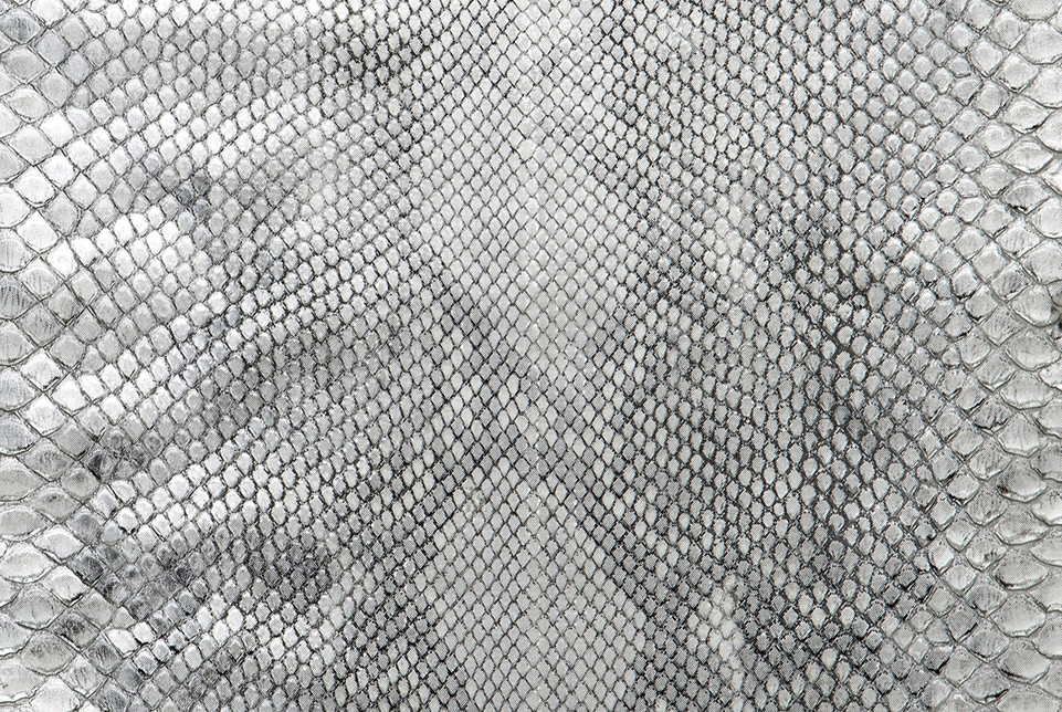 Python Skin Diamond Front Cut Crisp Silver/Natural