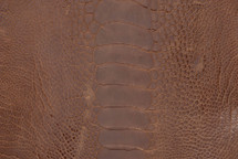 Ostrich Leg Glazed Copper