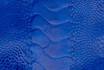 Ostrich Leg Glazed Cobalt