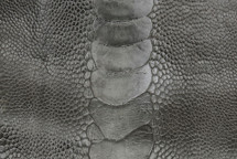 Ostrich Leg Glazed Serpentine