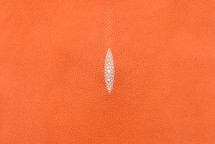 Stingray Skin Orange 15"
