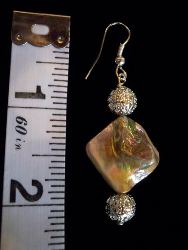 Shell Earrings