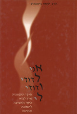 Ani Ledodi - Y Ginsburg