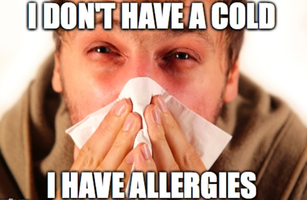 i feel it allergy meme