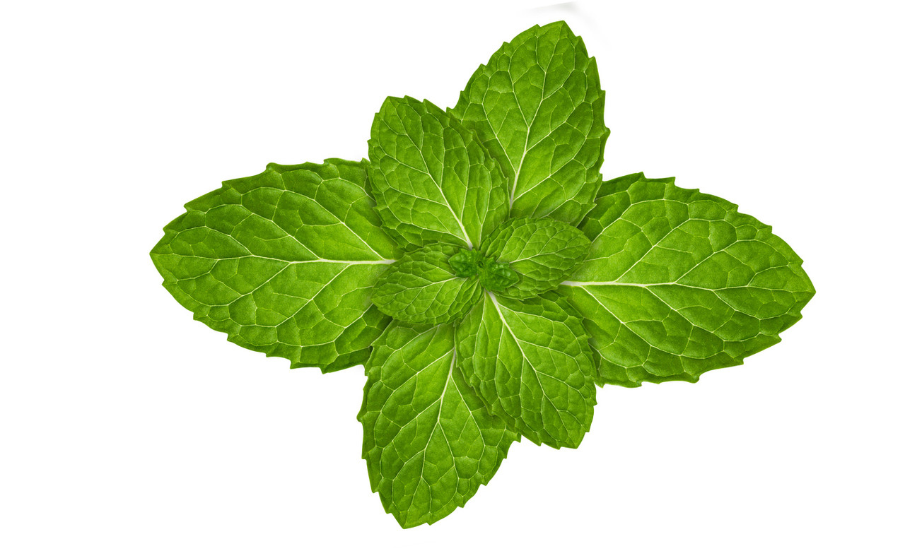 MAX PG or VG When it Comes to Vaping Menthol-Flavored E-Juices: You Decide!  - The Vape Mall