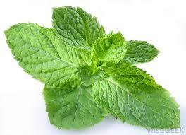 MENTHOL Eliquid By The Vape Mall - The Vape Mall
