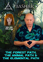 forest-dvd.jpg