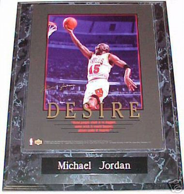 Michael Jordan Chicago Bulls 10.5x13 