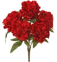 PEONY BUSH X5 RED 17"