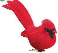 CARDINAL BIRD W/CLIP FEATHERED RED