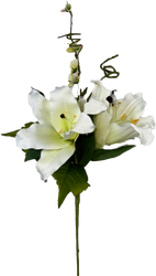 Lily Pick White x Blossoms 19"