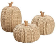 PUMPKIN SET OF 3 BEIGE