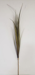 GRASS SPRAY GO/BR