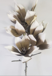 FOAM FLOWER GOLD/WHITEx5 40"