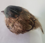BIRD FAT ROBIN 4.5"