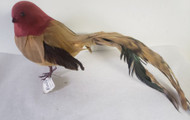 BIRD FEATHERED BURGUNDAY /BROWN LONG-TAILED 12"