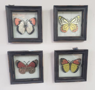 WALL ART FRAMED BUTTERFLY FOIL BLK WOOD 6.25 x 6.25