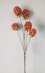 ALLIUM STEM X5 ORANGE 29"