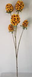 ALLIUM GOLD x5 29"
