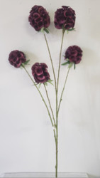 ALLIUM STEM x5 PLUM 29"