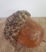 ACORN MADE WITH LEAVES & SEEDS 4.5"