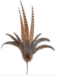 FEATHERS PHEASANT SPRAY BR/GR 26"