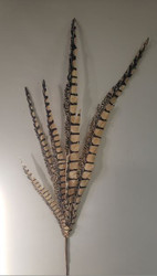 FEATHER PHEASANT SPRAY SILK BROWN 29"
