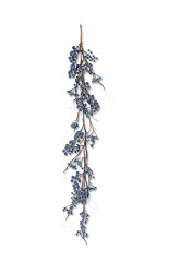 GARLAND BLUE CONCORD GRAPES 48"