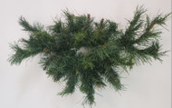 CANDLE RING MIXED  PINE 18"