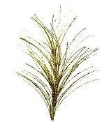 PINE SPRAY NEEDLES GLITTERED GOLD 31"