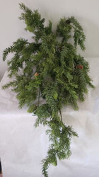 MIXED CEDAR MINI PINE CONES HANGING BUSH 32"