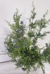 JUNIPER BUSH w/BLUE BERRIES 20"