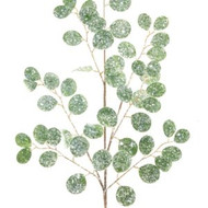 SILVER DOLLAR SPRAY WITH ICE/SNOW 31"