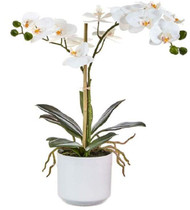 ORCHID POTTED REAL TOUCH ORCHID 18.5"