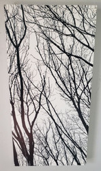PRINT BLACK TREE BRANCHES SILOUETTE ON WHITE BOARD 12"x24"