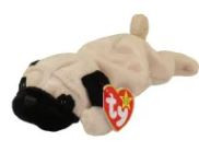 BB Pugsly The  Pug Dog