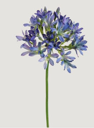 AGAPANTHUS BLUE /PURPLE 36"