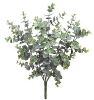 EUCALYPTUS BUSH x7 GR 17.5"