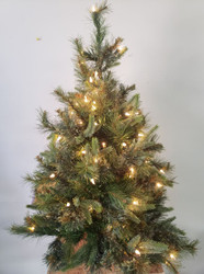 TREE CASHMERE PINE DURA-LIT 100CL 3' X 29"