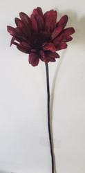 GERBERA DAISY BURGUNDY GLITTERED 26"