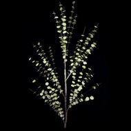 EUCALYPTUS FOAM FLOWER STEM 43"