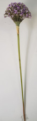ALLIUM SPRAY PURPLE 22"