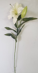 LILY CASABLANCA WHiTE 31"